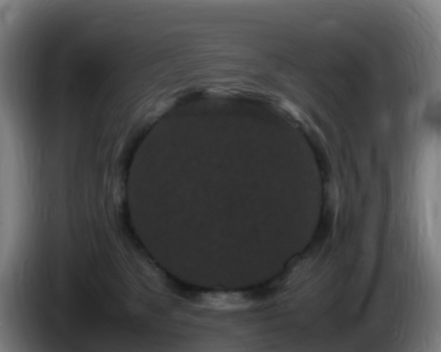 X0000086030517200703301057