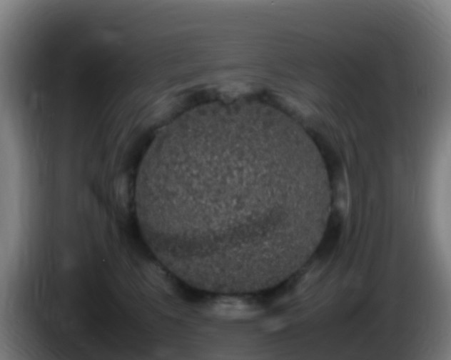 X0000086030519200703301057