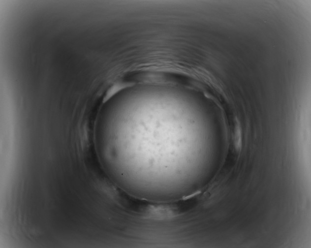 X0000086030520200703301057