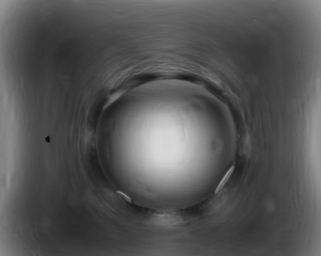 X0000086030521200703301057