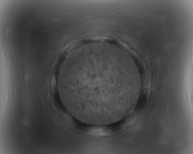 X0000086030523200703301057