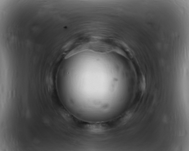 X0000086030524200703301057