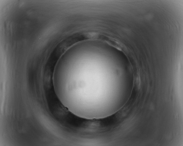 X0000086030525200703301057