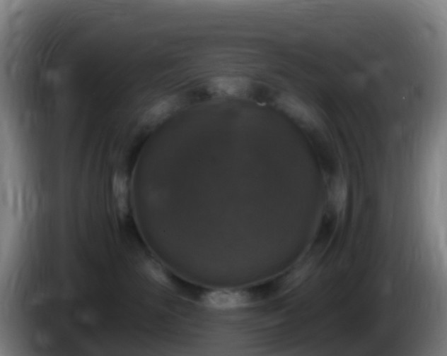 X0000086030526200703301057