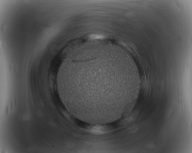 X0000086030527200703301057