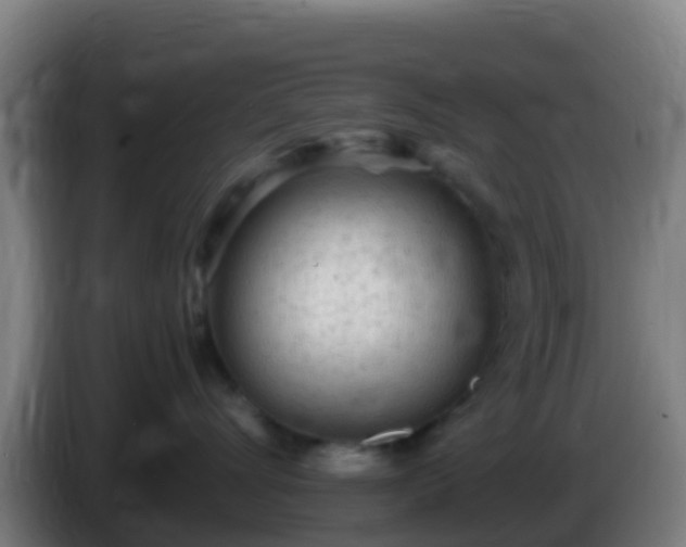 X0000086030528200703301057