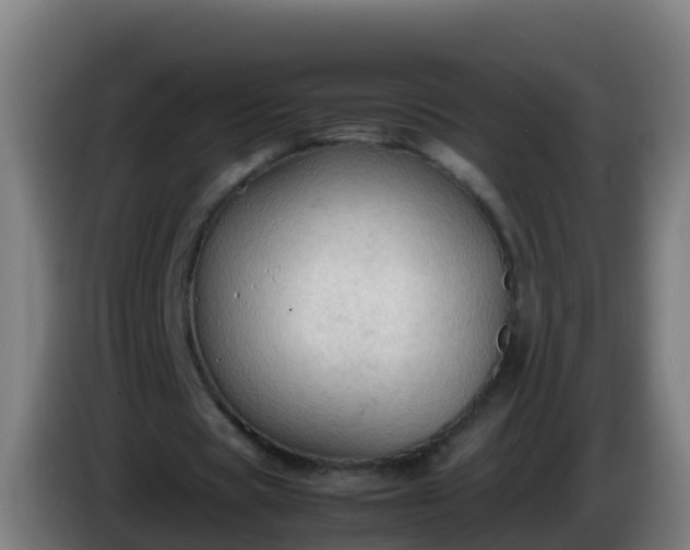 X0000086030529200703301056