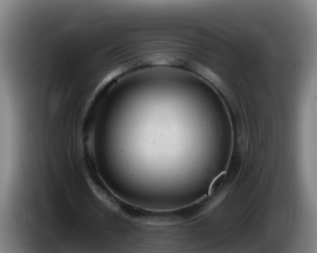 X0000086030530200703301056