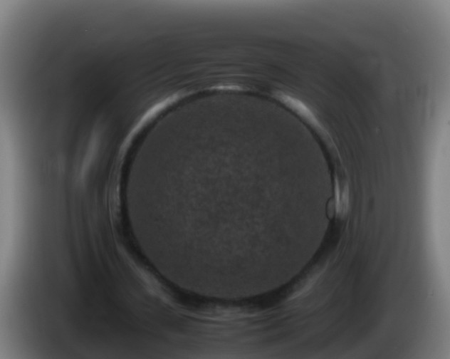 X0000086030531200703301056