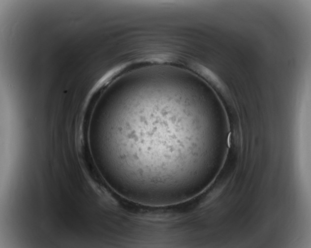 X0000086030532200703301056