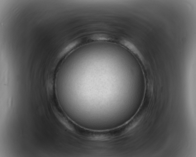 X0000086030533200703301056