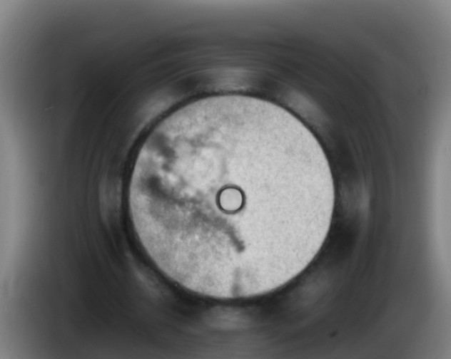 X0000086030534200703301056