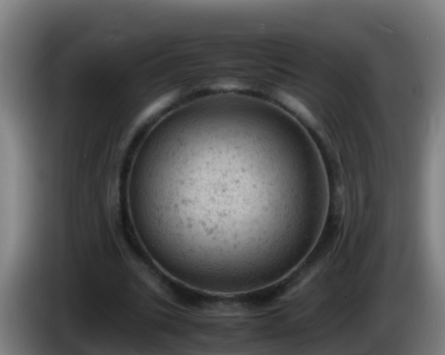 X0000086030535200703301056