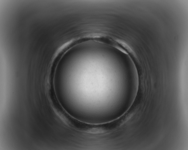 X0000086030536200703301056