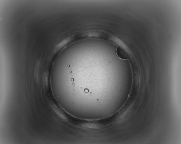 X0000086030537200703301056