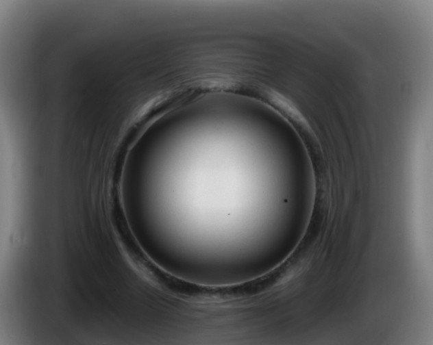 X0000086030538200703301056