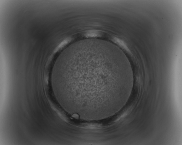 X0000086030539200703301056