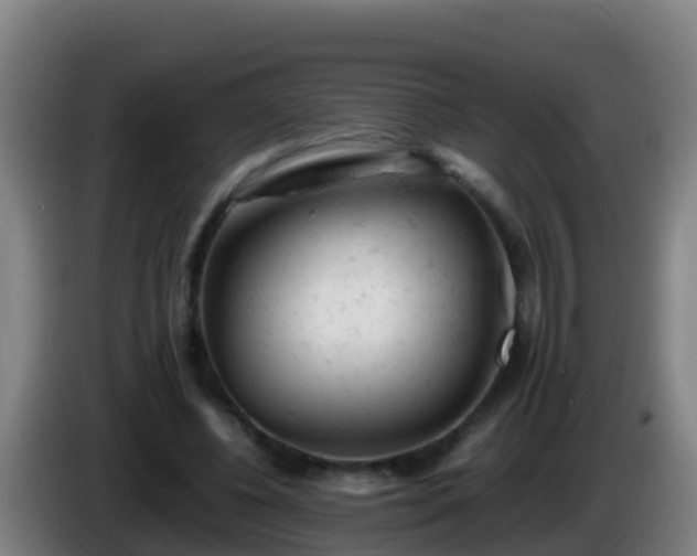 X0000086030540200703301056