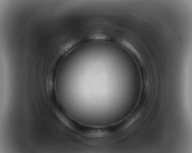 X0000086030541200703301056