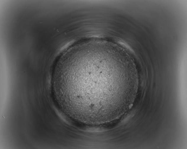 X0000086030542200703301056