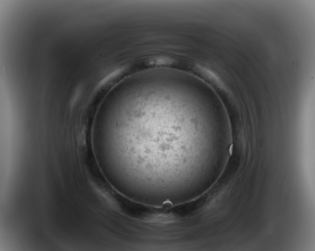 X0000086030543200703301056