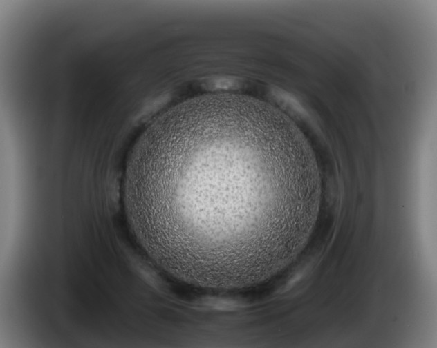 X0000086030545200703301056