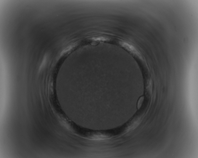 X0000086030547200703301056