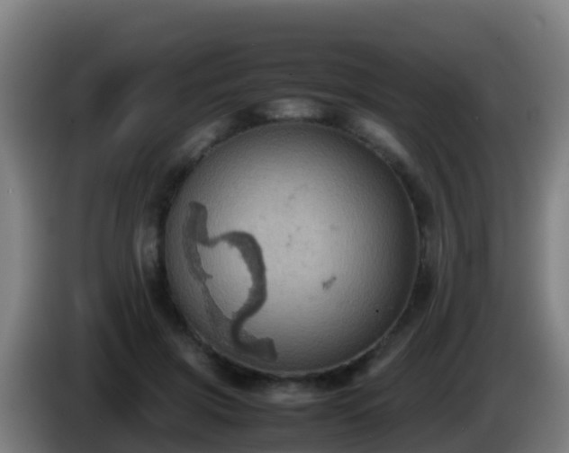 X0000086030549200703301056