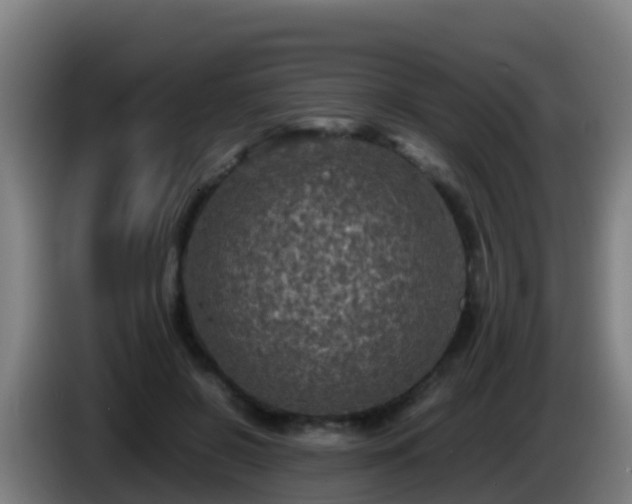 X0000086030550200703301056