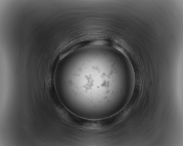 X0000086030552200703301056