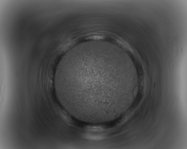 X0000086030553200703301056