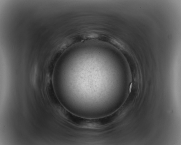 X0000086030555200703301056