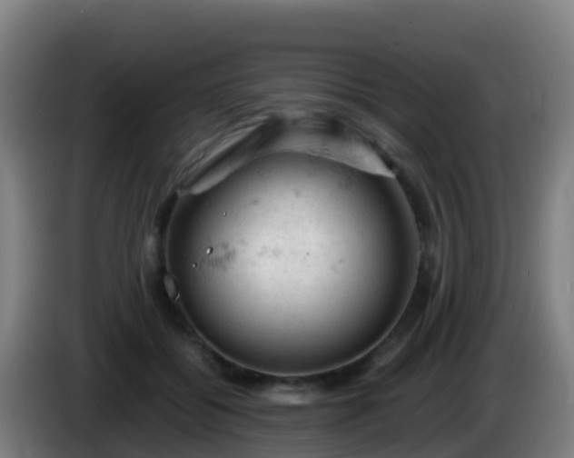 X0000086030556200703301056