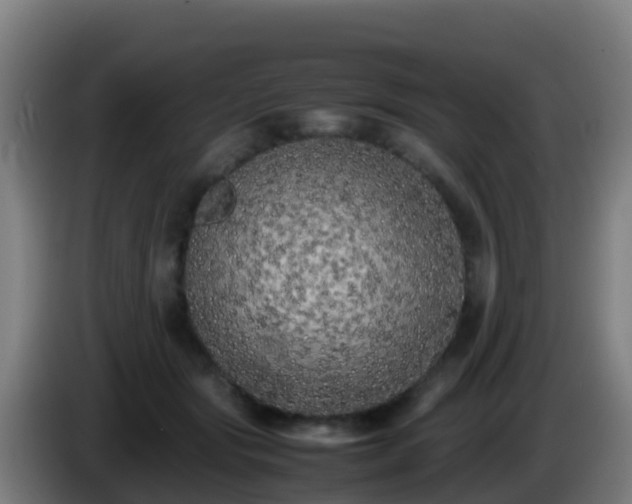 X0000086030557200703301056