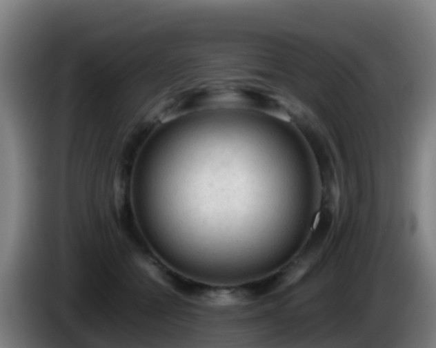 X0000086030558200703301056