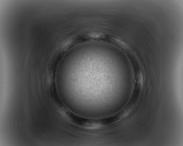 X0000086030559200703301056