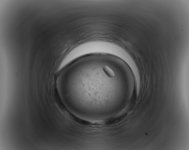 X0000086030560200703301056