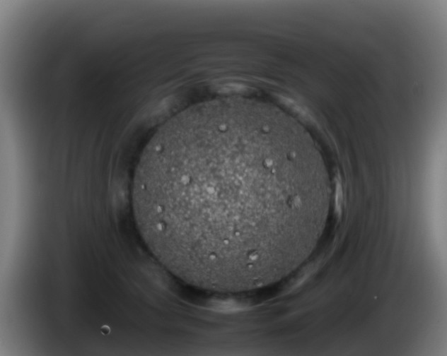 X0000086030561200703301057