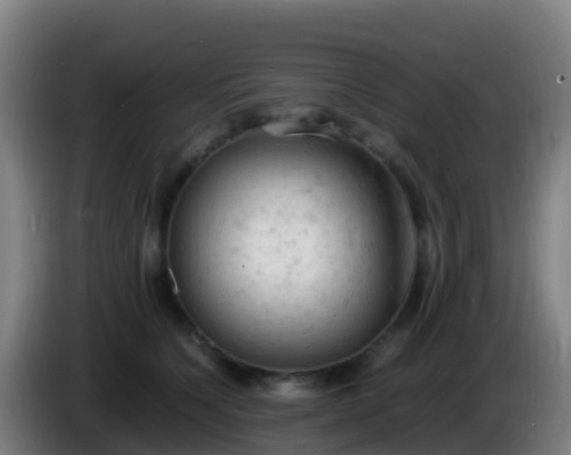 X0000086030564200703301057