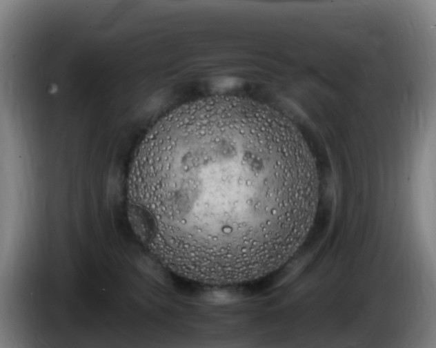 X0000086030565200703301057