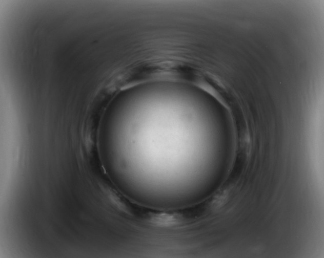 X0000086030566200703301057