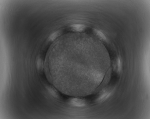 X0000086030568200703301057