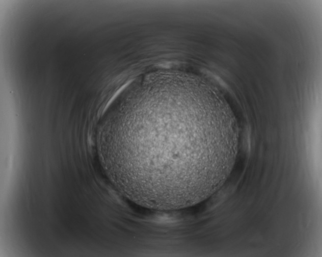 X0000086030569200703301057