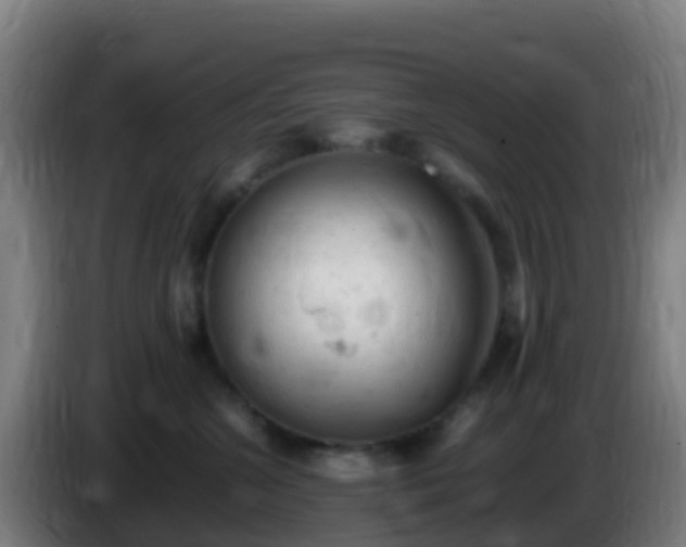 X0000086030572200703301057