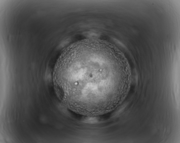 X0000086030573200703301057