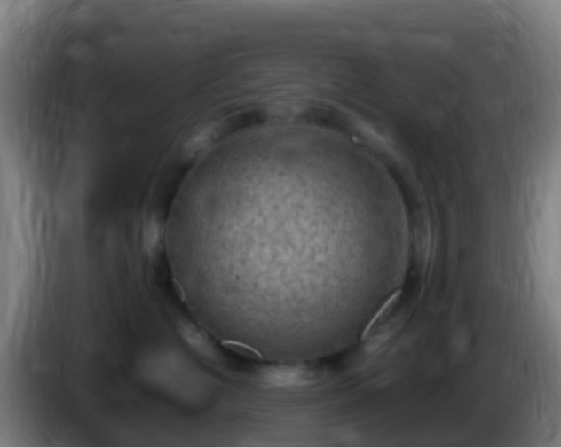 X0000086030574200703301057