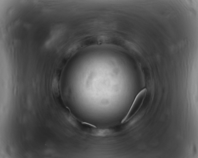 X0000086030575200703301057