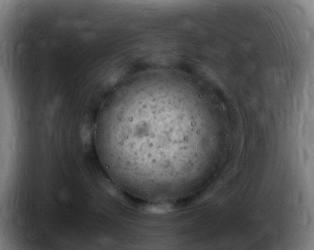 X0000086030576200703301057