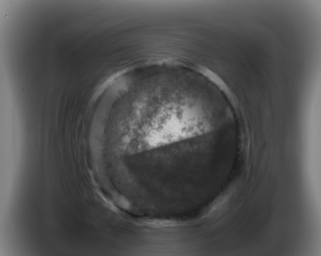 X0000086030577200703301056