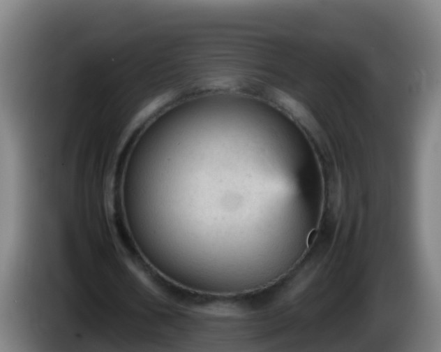 X0000086030578200703301056